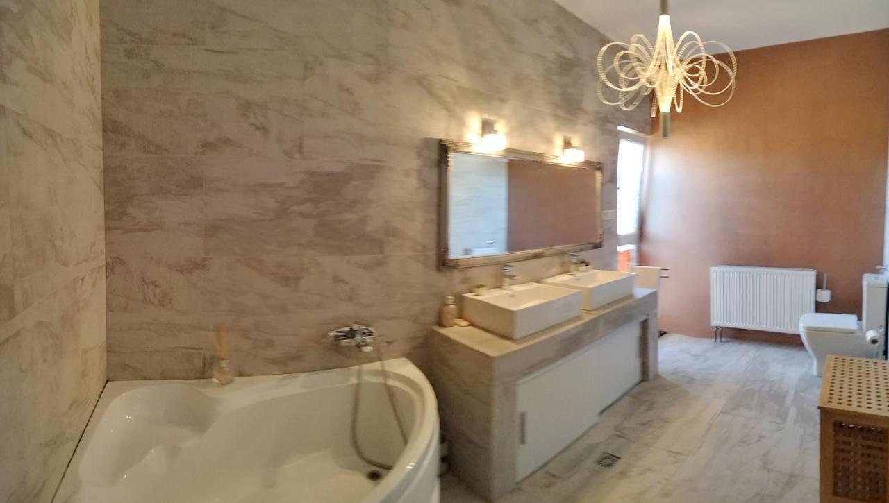 蒂米什瓦拉Apartament De Lux Cu Terasa公寓 外观 照片